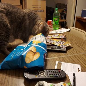 Meet your Posher, Frank